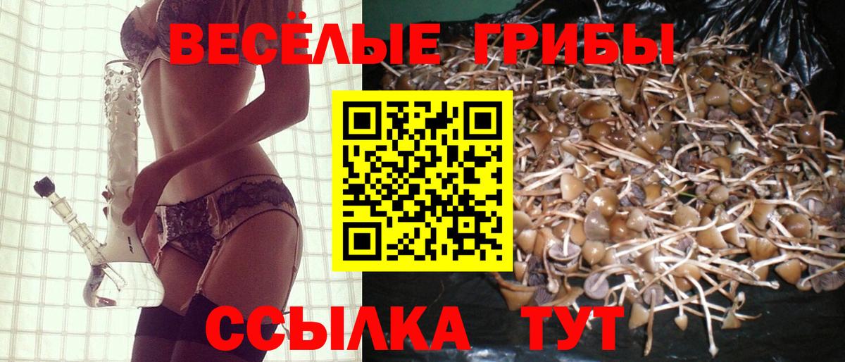 Галлюциногенные грибы мухоморы Назрань