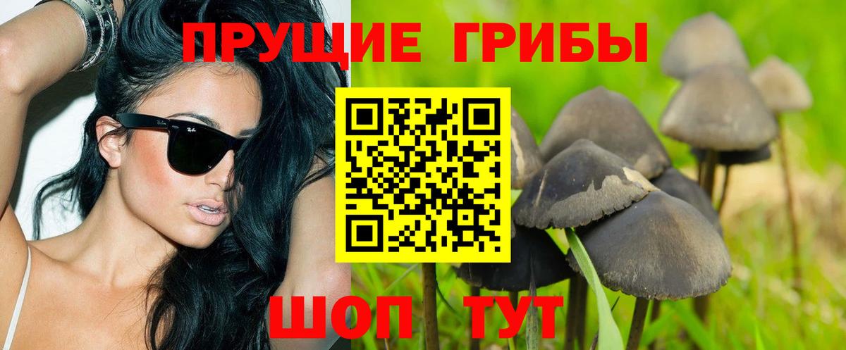 Галлюциногенные грибы MAGIC MUSHROOMS  Вход с VPN  Галлюциногенные грибы Psilocybine cubensis  Назрань 